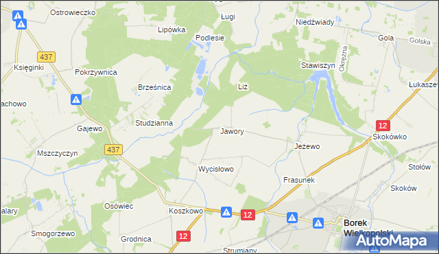 mapa Jawory gmina Borek Wielkopolski, Jawory gmina Borek Wielkopolski na mapie Targeo