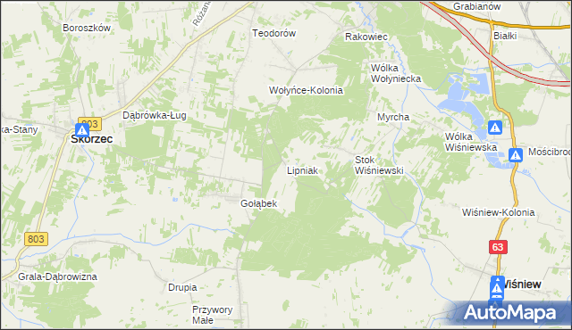 mapa Lipniak gmina Wiśniew, Lipniak gmina Wiśniew na mapie Targeo