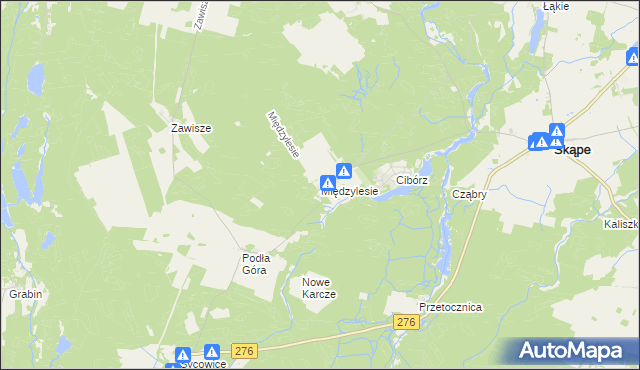 mapa Międzylesie gmina Skąpe, Międzylesie gmina Skąpe na mapie Targeo