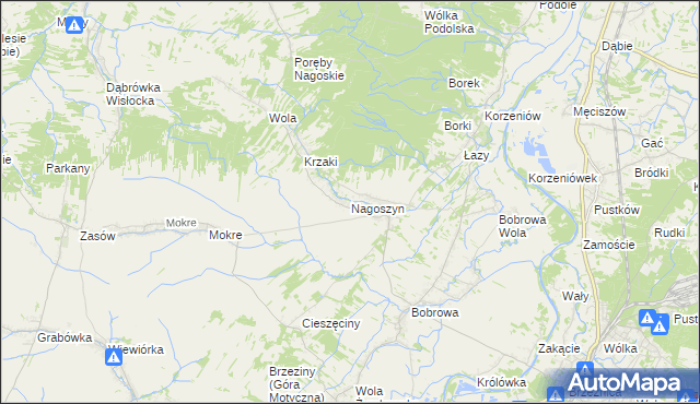 mapa Nagoszyn, Nagoszyn na mapie Targeo