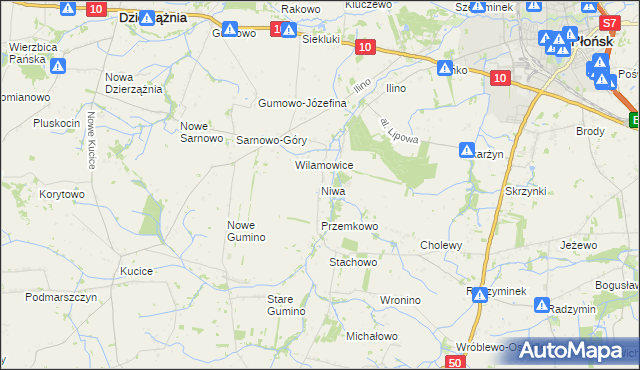 mapa Niwa gmina Dzierzążnia, Niwa gmina Dzierzążnia na mapie Targeo