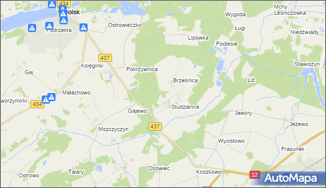 mapa Orliniec gmina Dolsk, Orliniec gmina Dolsk na mapie Targeo