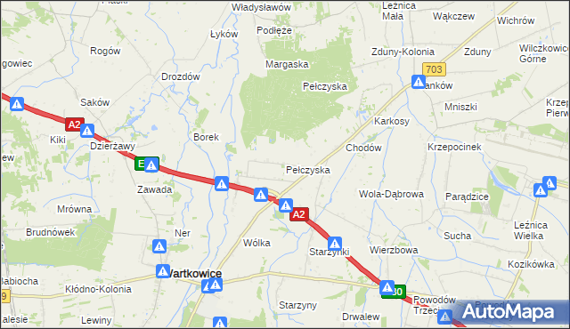 mapa Pełczyska gmina Wartkowice, Pełczyska gmina Wartkowice na mapie Targeo