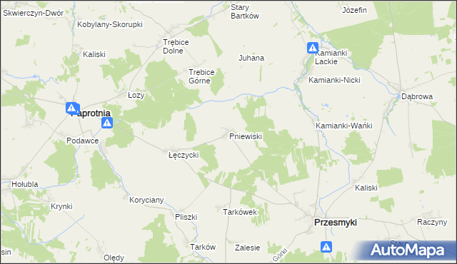 mapa Pniewiski, Pniewiski na mapie Targeo