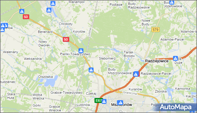 mapa Słabomierz gmina Radziejowice, Słabomierz gmina Radziejowice na mapie Targeo