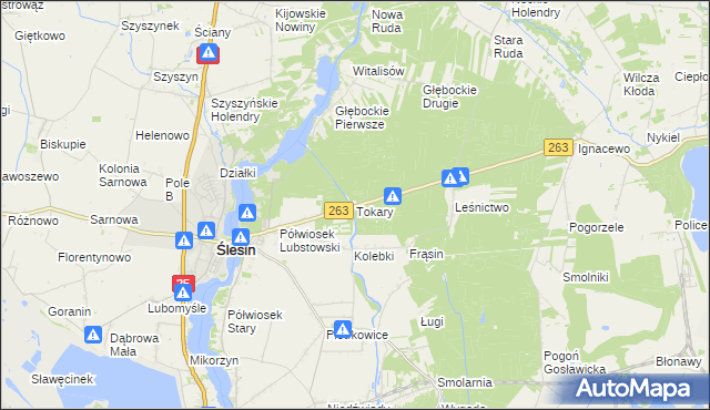 mapa Tokary gmina Ślesin, Tokary gmina Ślesin na mapie Targeo