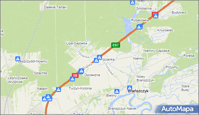 mapa Trzcianka gmina Brańszczyk, Trzcianka gmina Brańszczyk na mapie Targeo