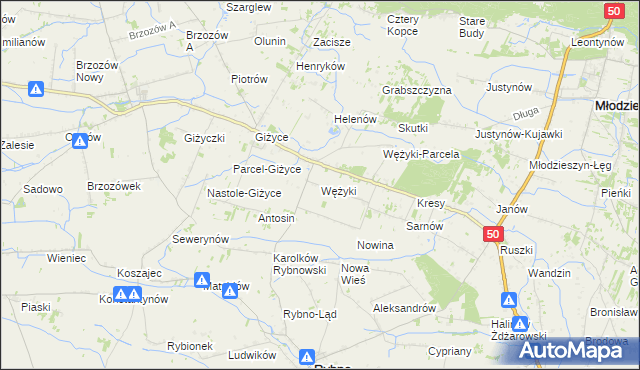 mapa Wężyki, Wężyki na mapie Targeo