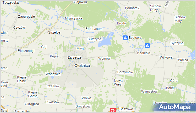 mapa Wojnów gmina Oleśnica, Wojnów gmina Oleśnica na mapie Targeo