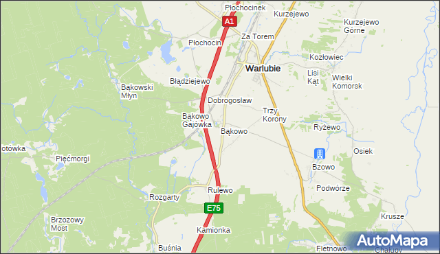 mapa Bąkowo gmina Warlubie, Bąkowo gmina Warlubie na mapie Targeo