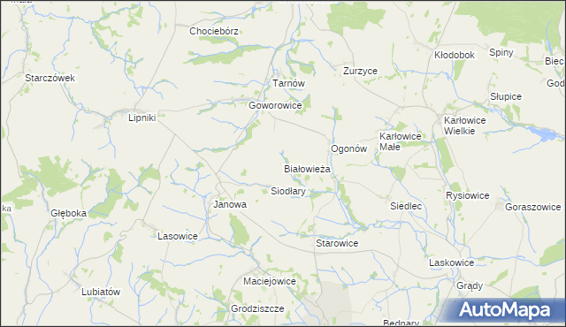 mapa Białowieża gmina Kamiennik, Białowieża gmina Kamiennik na mapie Targeo