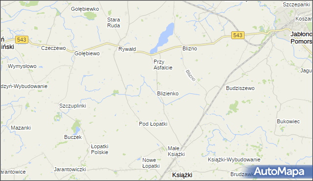 mapa Blizienko, Blizienko na mapie Targeo