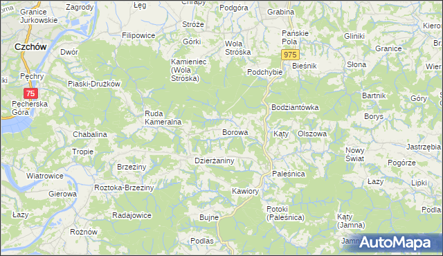 mapa Borowa gmina Zakliczyn, Borowa gmina Zakliczyn na mapie Targeo