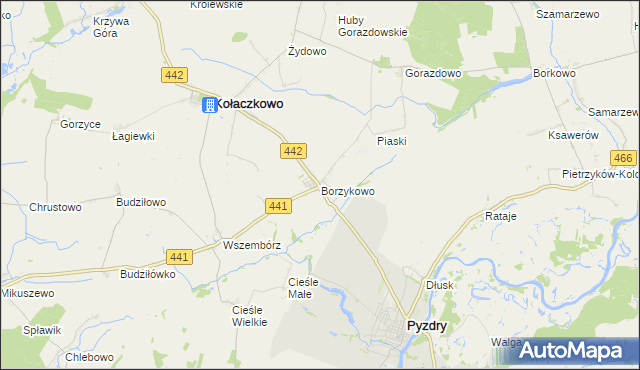 mapa Borzykowo gmina Kołaczkowo, Borzykowo gmina Kołaczkowo na mapie Targeo