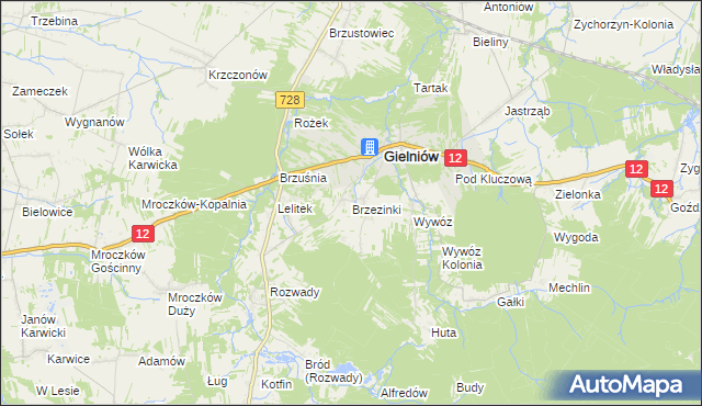 mapa Brzezinki gmina Gielniów, Brzezinki gmina Gielniów na mapie Targeo