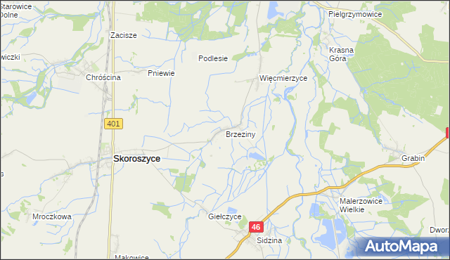 mapa Brzeziny gmina Skoroszyce, Brzeziny gmina Skoroszyce na mapie Targeo