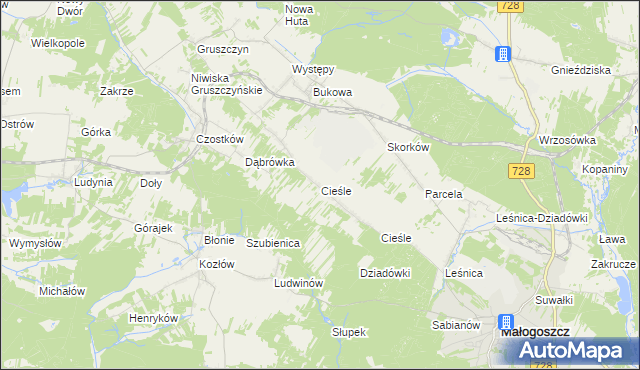 mapa Cieśle gmina Krasocin, Cieśle gmina Krasocin na mapie Targeo