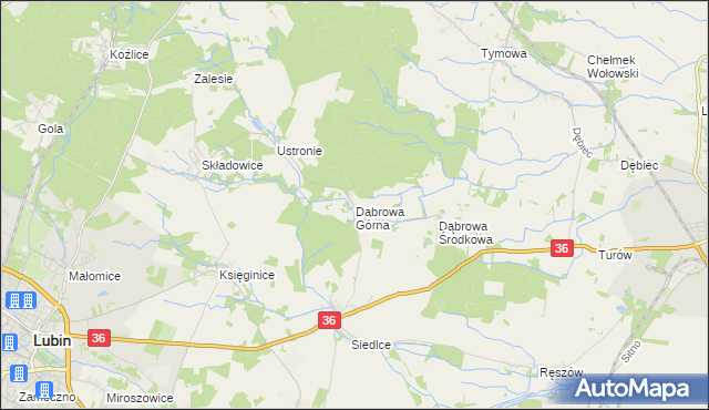 mapa Dąbrowa Górna gmina Lubin, Dąbrowa Górna gmina Lubin na mapie Targeo