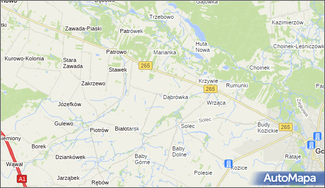 mapa Dąbrówka gmina Gostynin, Dąbrówka gmina Gostynin na mapie Targeo