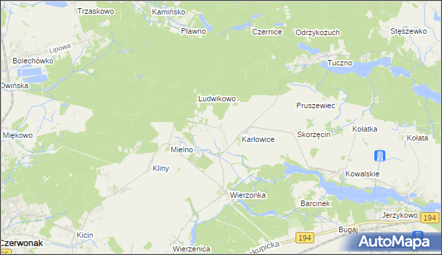 mapa Dębogóra gmina Czerwonak, Dębogóra gmina Czerwonak na mapie Targeo