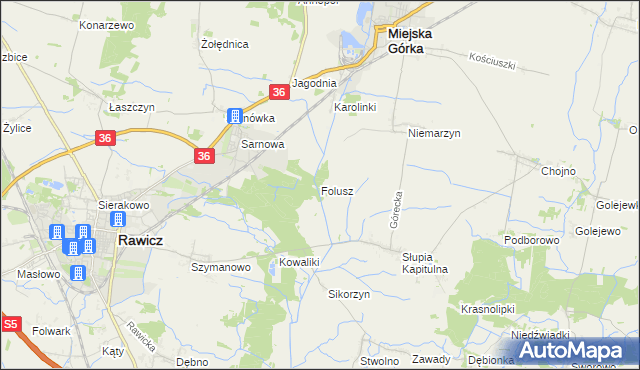 mapa Folusz gmina Rawicz, Folusz gmina Rawicz na mapie Targeo