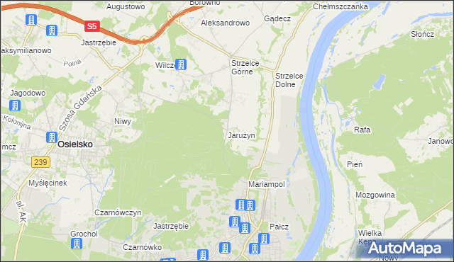 mapa Jarużyn gmina Osielsko, Jarużyn gmina Osielsko na mapie Targeo