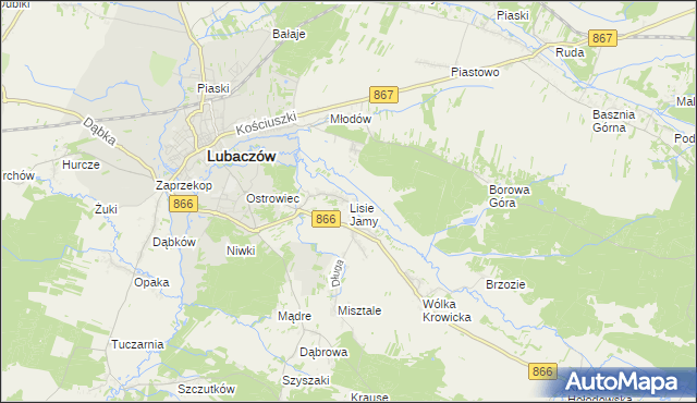 mapa Lisie Jamy gmina Lubaczów, Lisie Jamy gmina Lubaczów na mapie Targeo