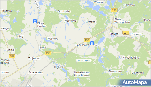 mapa Łopuchowo gmina Murowana Goślina, Łopuchowo gmina Murowana Goślina na mapie Targeo