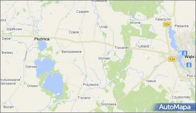 mapa Michałki gmina Ryńsk, Michałki gmina Ryńsk na mapie Targeo