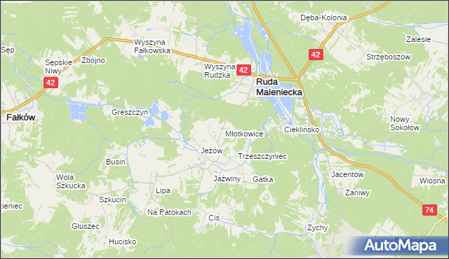 mapa Młotkowice, Młotkowice na mapie Targeo