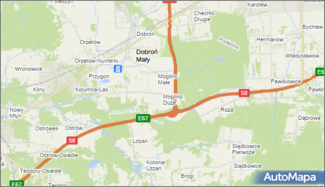 mapa Mogilno Duże, Mogilno Duże na mapie Targeo