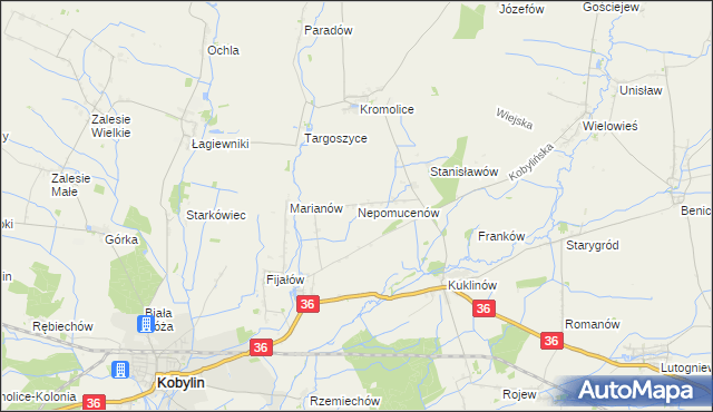 mapa Nepomucenów gmina Kobylin, Nepomucenów gmina Kobylin na mapie Targeo