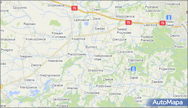 mapa Nieszkowice Małe, Nieszkowice Małe na mapie Targeo