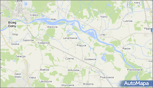 mapa Prężyce, Prężyce na mapie Targeo