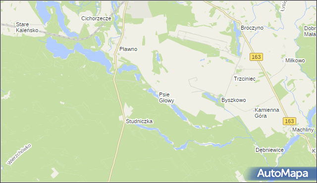 mapa Psie Głowy, Psie Głowy na mapie Targeo