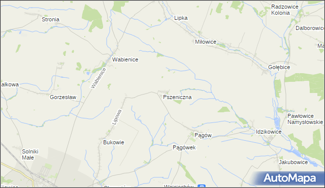 mapa Pszeniczna, Pszeniczna na mapie Targeo