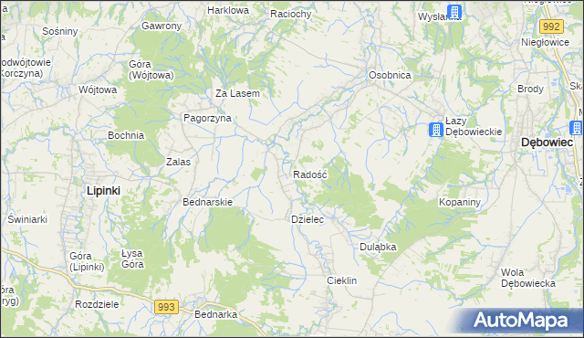 mapa Radość gmina Dębowiec, Radość gmina Dębowiec na mapie Targeo