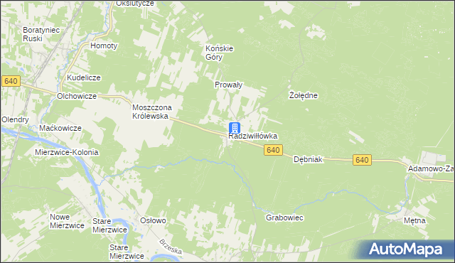 mapa Radziwiłłówka, Radziwiłłówka na mapie Targeo