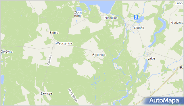 mapa Rokitnica gmina Skąpe, Rokitnica gmina Skąpe na mapie Targeo