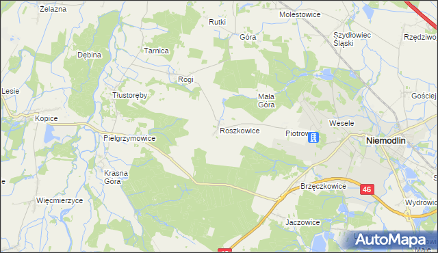 mapa Roszkowice gmina Niemodlin, Roszkowice gmina Niemodlin na mapie Targeo