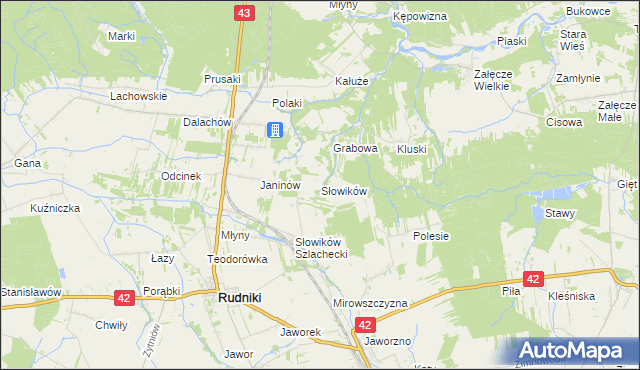 mapa Słowików gmina Rudniki, Słowików gmina Rudniki na mapie Targeo