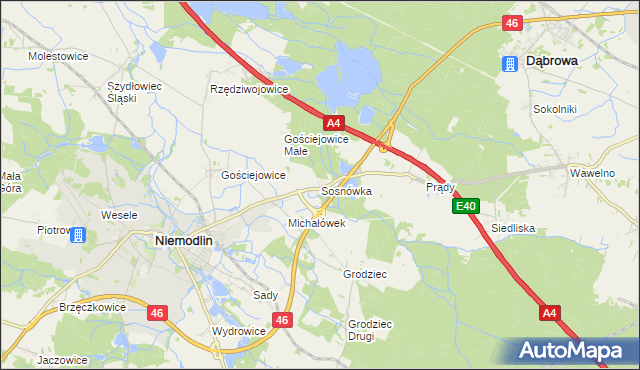 mapa Sosnówka gmina Niemodlin, Sosnówka gmina Niemodlin na mapie Targeo