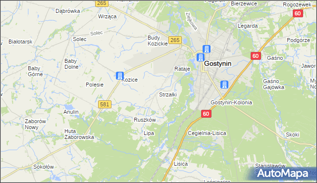 mapa Strzałki gmina Gostynin, Strzałki gmina Gostynin na mapie Targeo