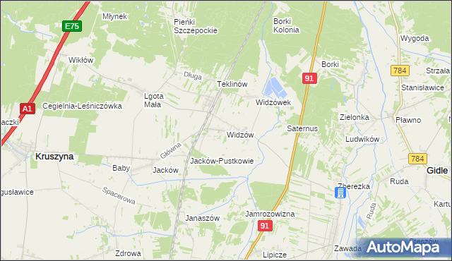 mapa Widzów, Widzów na mapie Targeo