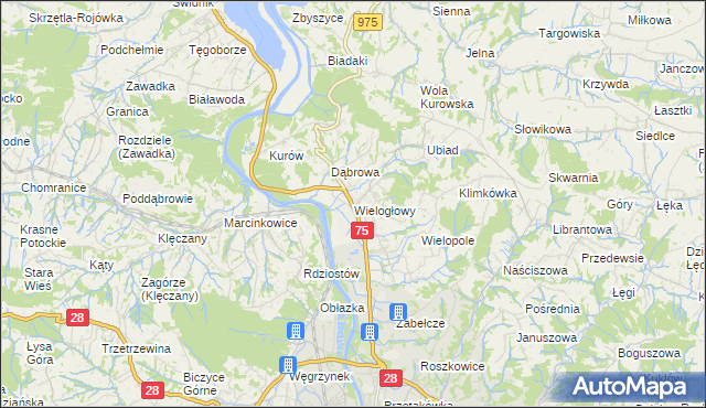 mapa Wielogłowy gmina Chełmiec, Wielogłowy gmina Chełmiec na mapie Targeo