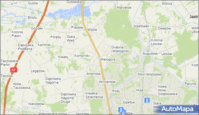 mapa Wielogóra gmina Jedlińsk, Wielogóra gmina Jedlińsk na mapie Targeo