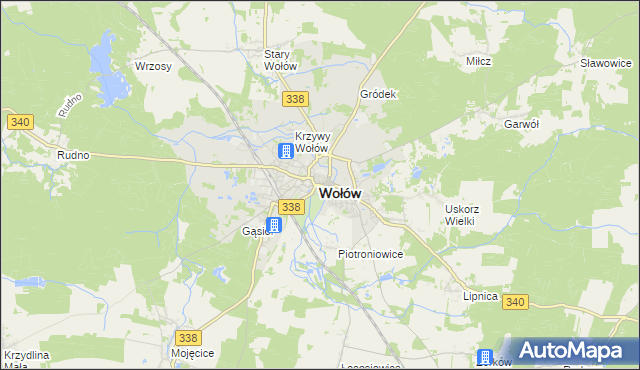 mapa Wołów, Wołów na mapie Targeo