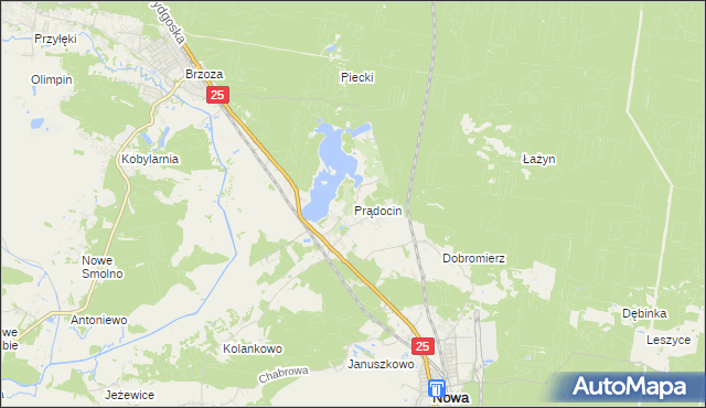 mapa Prądocin gmina Nowa Wieś Wielka, Prądocin gmina Nowa Wieś Wielka na mapie Targeo