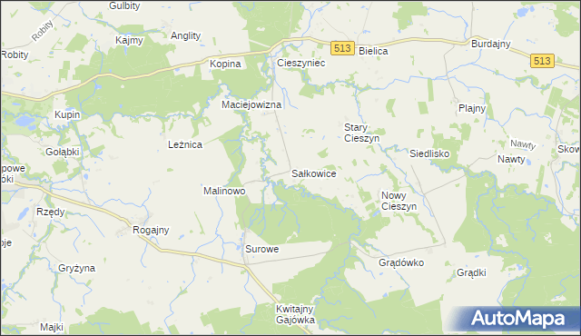 mapa Sałkowice, Sałkowice na mapie Targeo