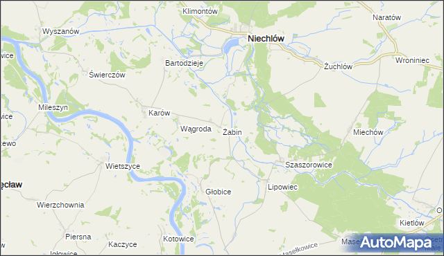 mapa Żabin gmina Niechlów, Żabin gmina Niechlów na mapie Targeo